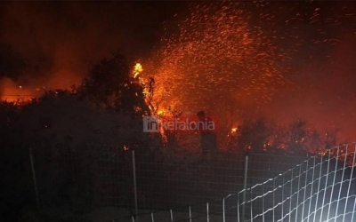 WWF: Με επιτυχία ολοκληρώθηκε η εκστρατεία για την πρόληψη των δασικών πυρκαγιών σε Κεφαλονιά και Αχαΐα
