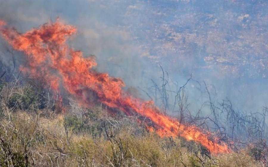 Δήμος Ληξουρίου: Απαγορεύεται το άναμμα φωτιάς την αντιπυρική περίοδο - Επιβάλλονται πρόστιμα