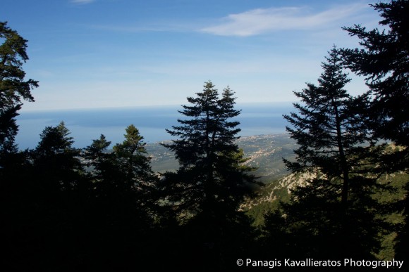 Φωτογραφία : Παναγής Καβαλλιεράτος