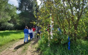 Οι μαθητές της Κεφαλονιάς και της Ιθάκης έγιναν “ένα” με τη Φύση στο Εργαστήρι Περιβαλλοντικής Τέχνης