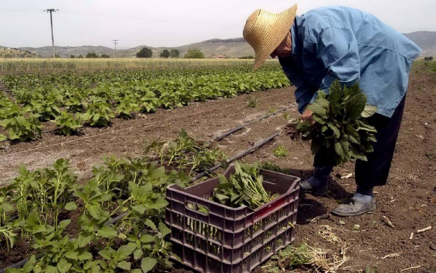 Ε.Α.Σ. :  Ανατροπές  για ντόπιους ενεργούς  Αγρότες