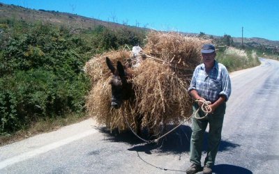 Γεράσιμος Γαλανός: ''Ήρθε καιρός του θερισμού!''