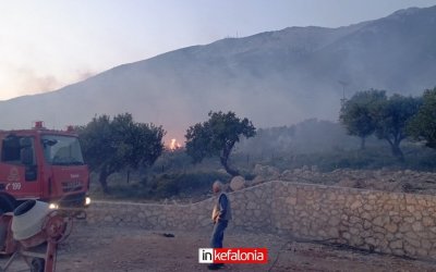 Φωτιά στην περιοχή των Σισσίων