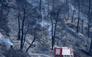 Υπό πλήρη έλεγχο η πυρκαγιά στα Καρδακάτα - &quot;Στάχτη&quot; 170 στρέμματα δασικής έκτασης - Σε επιφυλακή η Πυροσβεστική για τυχών αναζωπυρώσεις (Ανανεωμένο - εικόνες)