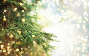 Απόψε το άναμμα του Χριστουγεννιάτικου Δέντρου στα Βλαχάτα