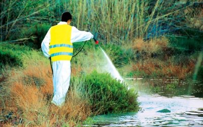 Καταπολέμηση Κουνουπιών στις Περιφερειακές Ενότητες Κεφαλονιάς και Ιθάκης για το 2024 (2ος Κύκλος)