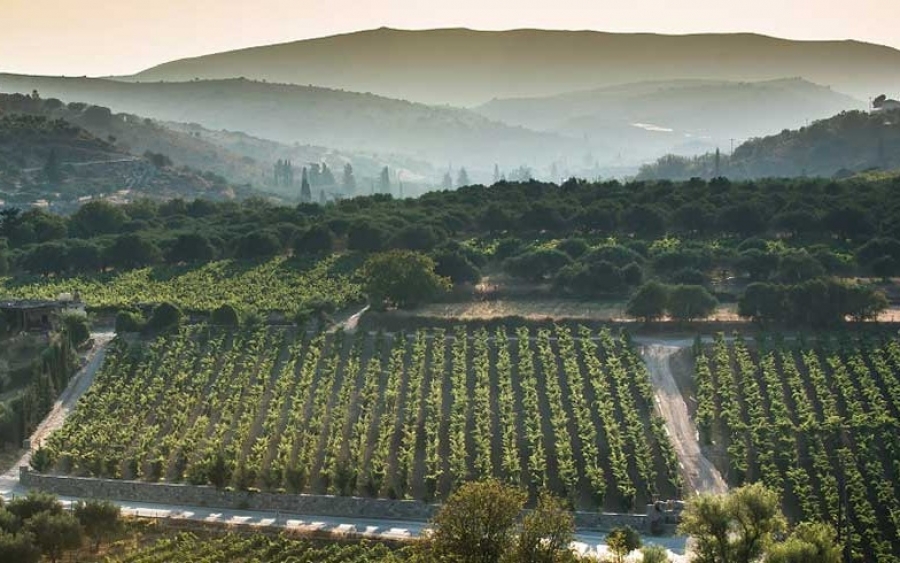 Συνάντηση Οινοποιών με θέμα «Σχέδιο δράσης και στήριξης του κλάδου από την Περιφέρεια»