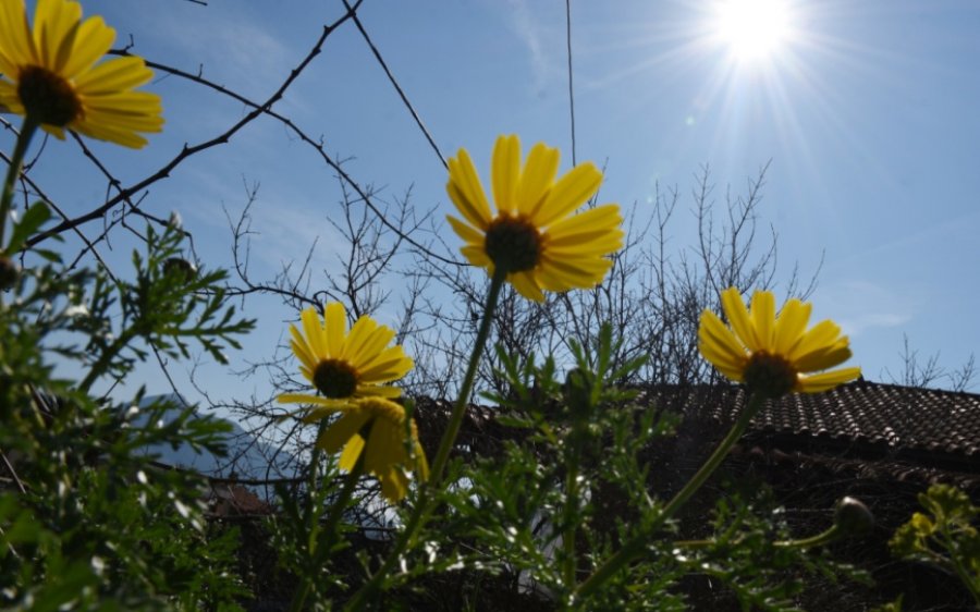 Kefalonia Weather: Ο καιρός τις επόμενες ημέρες στην Κεφαλονιά