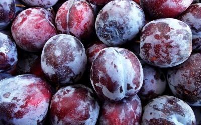 Διανέμονται από σήμερα δαμάσκηνα στις πολύτεκνες οικογένειες