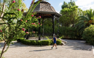 Απόψε: Ποιητική Βραδιά στον κήπο του Νάπιερ