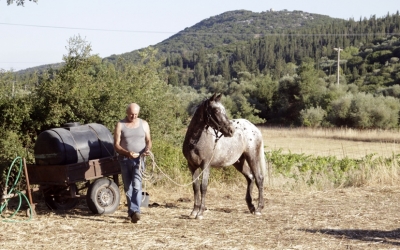 Καλώς τον Αλωνάρη μας με τα κάματά του! (εικόνες)