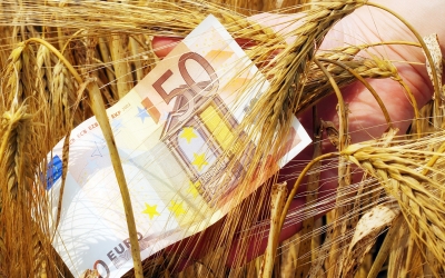 ΟΠΕΚΕΠΕ: Πληρωμές 120 εκατ. ευρώ σε αγρότες μέχρι την Παρασκευή