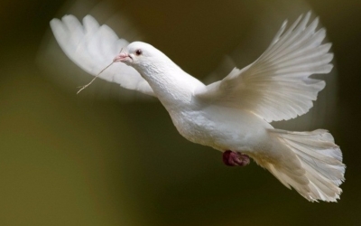 Η εικόνα δεν έχει σχεση με το συμβάν