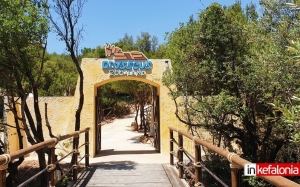 Οdysseus Zoo- Land: Μια περιήγηση στο πιο ιδιαίτερο θεματικό πάρκο της Ελλάδας
