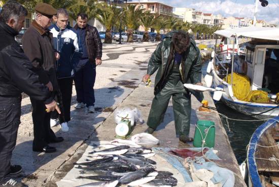 Φάτε μάτια… ψάρια! 