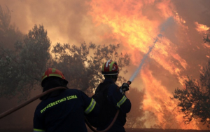 Ηλίας Τουμασάτος για τις πυρκαγιές στην Κεφαλονιά: &quot;Mακάρι η φλόγα από κάθε φυτό, θάμνο, δέντρο, ζώο που έκαψαν να κατακαίει  το νου και την ψυχή τους...&quot;