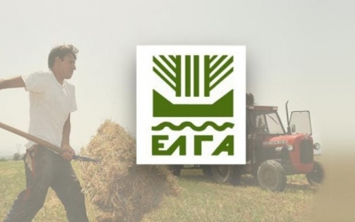 Ε.Α.Σ.: Απόφαση ΕΛΓΑ υπέρ ντόπιων Αγροτών