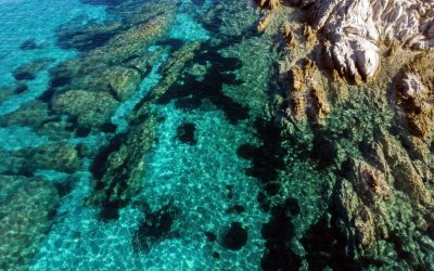 Θαλάσσιο Πάρκο Ιονίου: Προστασία με επιστημονική τεκμηρίωση και ουσιαστική διαβούλευση