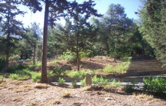 Απαγόρευση κυκλοφορίας στα Δάση, λόγω των αλλεπάλληλων πυρκαγιών