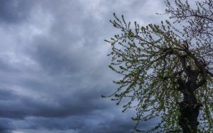 Κλέαρχος Μαρουσάκης: Έρχονται τα πρωτοβρόχια από την επόμενη εβδομάδα