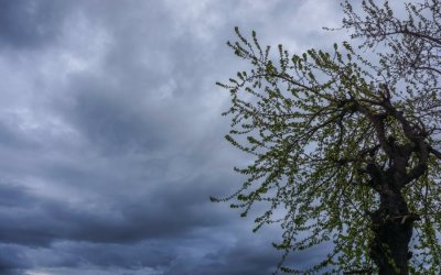 Κλέαρχος Μαρουσάκης: Έρχονται τα πρωτοβρόχια από την επόμενη εβδομάδα