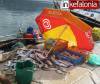 Φρέσκο ψάρι έχω λέγετε…