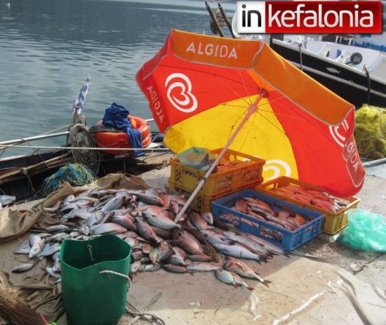 Φρέσκο ψάρι έχω λέγετε…