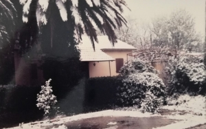 Μικέλης Μαφρέδας: Χιόνια την άνοιξη του 1987