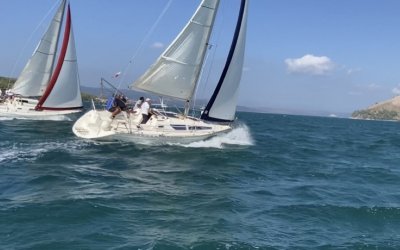 Με επιτυχία οι αγώνες ανοιχτής θάλασσας &quot;ΚΥΠΕΛΛΟ ΝΟΚΙ&quot;