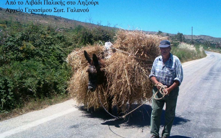 Οι  λογγοφόροι του Ληξουρίου