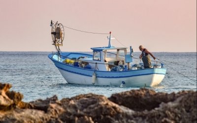 Ενημέρωση για την ανανέωση επαγγελματικών αδειών αλιείας από την ΠΙΝ