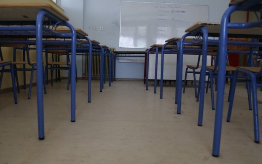 Παγώνη: Να μην ανοίξουν τα σχολεία πριν τον Ιανουάριο