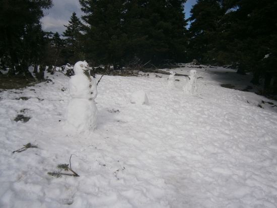 "Ψυγείο" το 6ο Δημοτικό Σχολείο Αργοστολίου - Τι απαντά η Πρωτοβάθμια