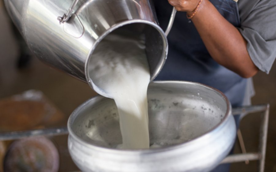 Ε.Α.Σ.: Επιδότηση Αιγοπρόβειου Γάλακτος