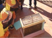 Εκπαιδευτικές επισκέψεις στο Μελισσοκομικό Πάρκο της Γεωργικής Σχολής "Παναγή Βαλλιάνου"