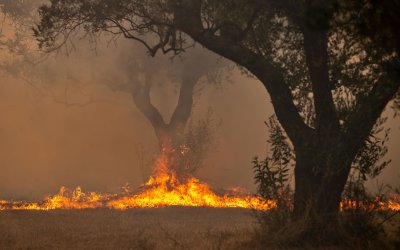 Λαϊκή Συσπείρωση Ληξουρίου: «Αιδώς, Αργείοι…» για την πυρκαγιά στον Αθέρα