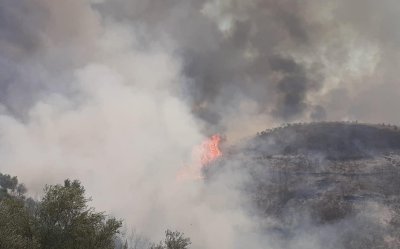 Φωτιά στην Ηλεία: Παίρνει επικίνδυνες διαστάσεις – Πλησιάζει στα σπίτια, απομακρύνονται κάτοικοι (video)