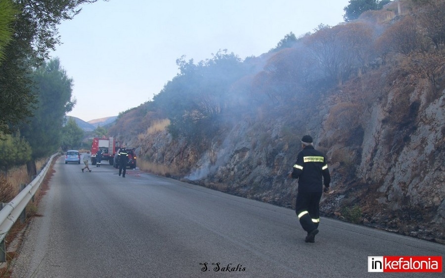 Υπό έλεγχο τέθηκε η φωτιά που ξέσπασε στα Φάρσα (εικόνες)