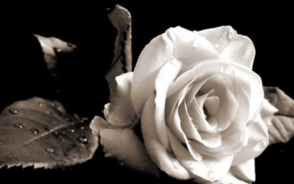 Συλλυπητήρια για την απώλεια της Σουσάνας Ανδρεόλα