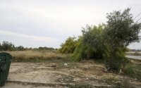 Καθαρισμός οικοπέδων: Εκπνέει η προθεσμία για τη δήλωση – «Τσουχτερά» πρόστιμα για τους παραβάτες