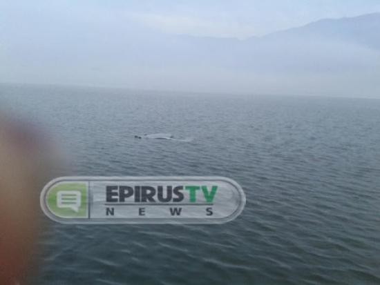 Γιάννενα: Ασύλληπτη τραγωδία στη λίμνη Παμβώτιδα - Πνίγηκε οδηγός αυτοκινήτου (φωτό)!