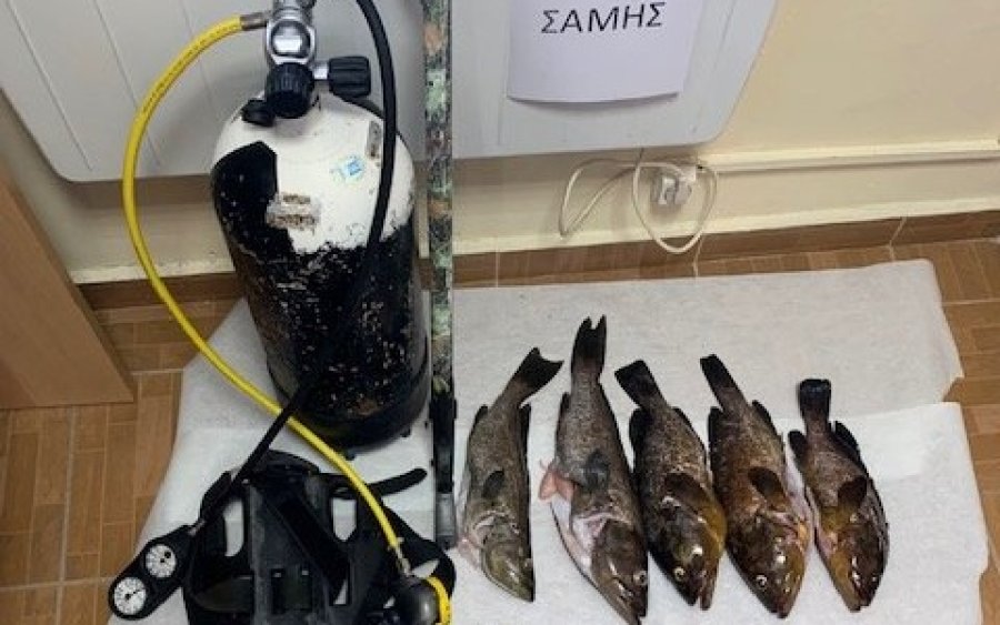 Αλιευτικός έλεγχος στη Σάμη για υποβρύχια αλιεία με ψαροντούφεκο (εικόνα)