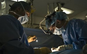 Μοναδικό ιατρικό επίτευγμα στη Νέα Υόρκη: Μεταμόσχευσαν νεφρό από χοίρο σε άνθρωπο