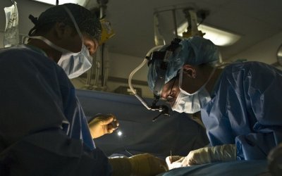 Μοναδικό ιατρικό επίτευγμα στη Νέα Υόρκη: Μεταμόσχευσαν νεφρό από χοίρο σε άνθρωπο