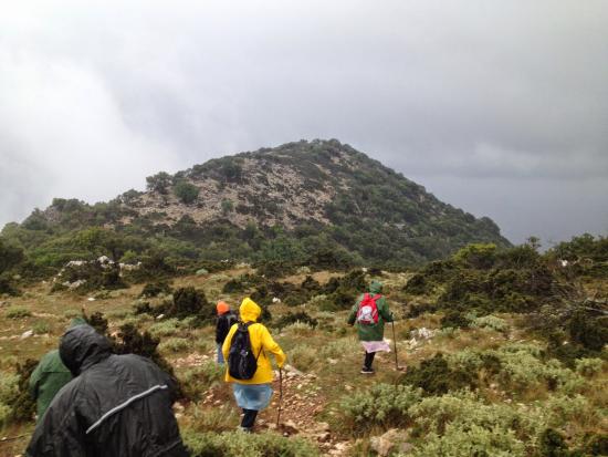 Εικόνες από την περιπλάνηση του Ορειβατικού Συλλόγου στις περιοχές Σέλα και Κουτσουπιά