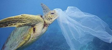 Το πρώτο ελληνικό νησί που καταργεί εντελώς την πλαστική σακούλα [εικόνες]