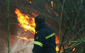 Φωτιά στα Μιτακάτα – Την πρόλαβαν Πυροσβέστες και Εθελοντές