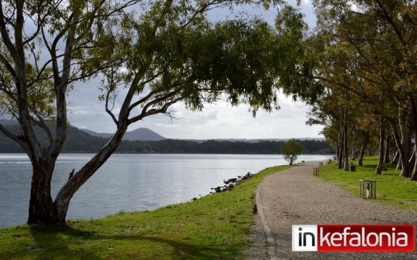 Εθελοντικός καθαρισμός της περιοχή του Κουτάβου