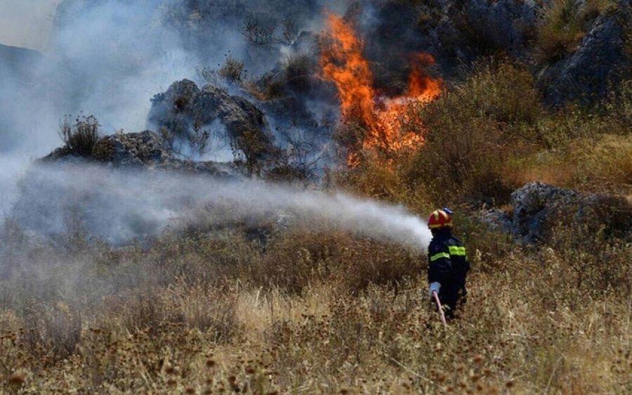 Υπό μερικό έλεγχο η φωτιά στην περιοχή των Πρόννων