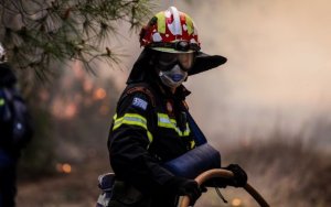 Τέσσερις (!) φωτιές σήμερα στην Κεφαλονιά – Σε επιφυλακή η πυροσβεστική λόγω των ισχυρών ανέμων
